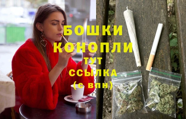 меф Арсеньев