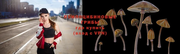 трава Аркадак