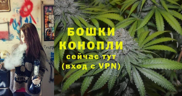 меф Арсеньев