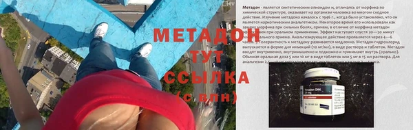 трава Аркадак