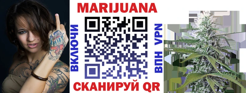 Конопля сатива  как найти закладки  Удомля 